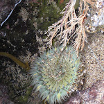 IMG_0277.JPG