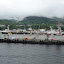 DSC05863.JPG