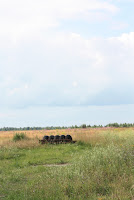 Рыбинский аэроклуб. 2009 год. фото Юля Березина - 18.jpg