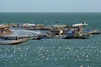 Reis-febr-2011-st-james (044).JPG