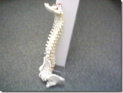 Your Spine Deserves Better! Your Spine Deserves Better!