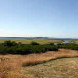 IMG_8245.JPG