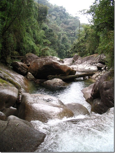 Itatiaia2005%20021 Itatiaia2005%20021
