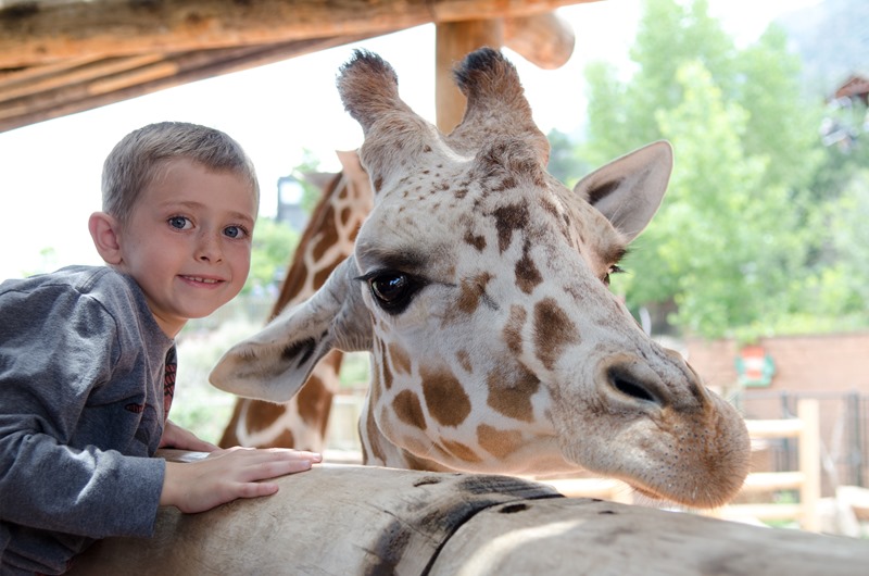 [zoo-11%255B9%255D.jpg]