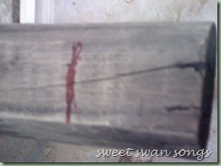 DSCF0277 DSCF0277
