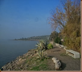 100_7420 100_7420