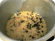 IMG_6670 IMG_6670