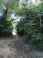 DSC05377.JPG