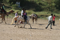 DSC05886.JPG
