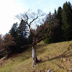 20091122 Allgaeu 0620 [640x480].JPG