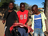 South Africa - 228.JPG