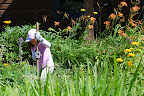 DSC_0186.JPG