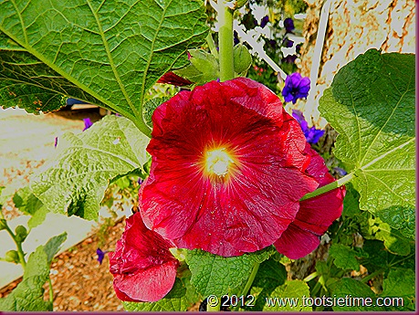 DSCN5385 DSCN5385