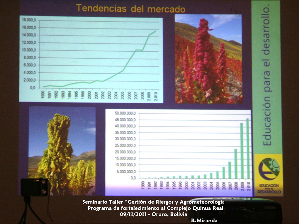 [Tendencias%2520del%2520Mercado%2520de%2520la%2520Producci%25C3%25B3n%2520y%2520Exportaci%25C3%25B3n%2520de%2520la%2520Quinua%2520Real_R.Miranda%255B4%255D.jpg]