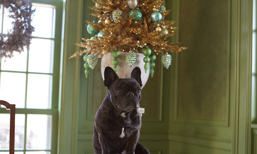 Sharkey, there seems to be a gold theme going on here in the green parlor.
