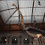  &ndash; Brachiosaurus