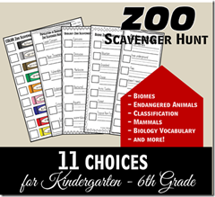 zoo scaventer hunts zoo scaventer hunts