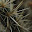 untitled album - 277.jpg