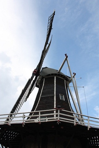 fortuin fortuin