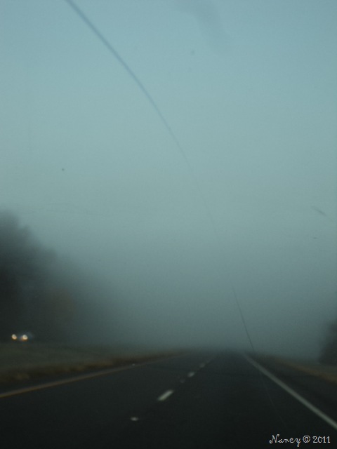 [DSC052397.jpg]