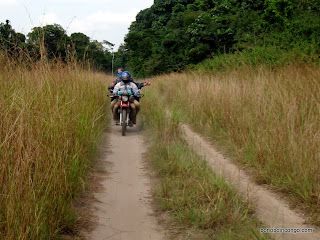 La route entre Dingi et Tshombe-Kilima dans le nord ouest du Maniema. Seuls les motos et tolekas peuvent circuler aujourd'hui sur ce tronçon, comme la plupart des routes de la province aujourd'hui. Photo: bonoboincongo.com 2010.