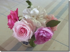 DSCF0658 DSCF0658