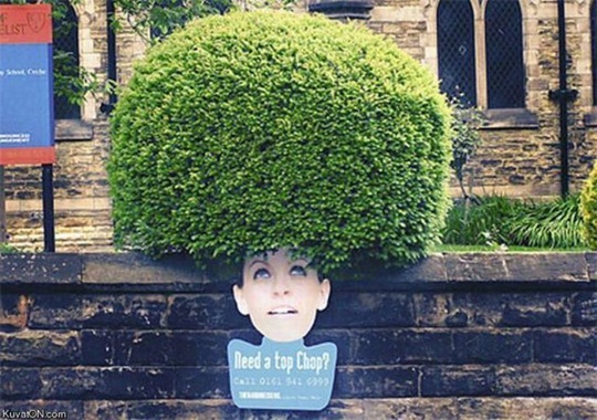 [viral-picdump-pics-31%255B2%255D.jpg]