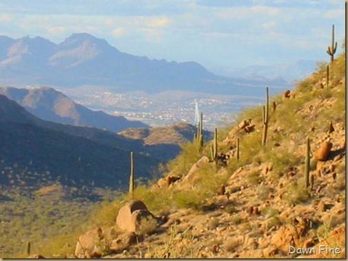 usiaryfountainhills