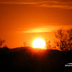 DSCF5055r.jpg