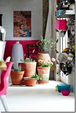 kitchen-indoor-garden-832 kitchen-indoor-garden-832