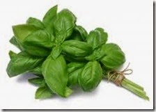 menta menta