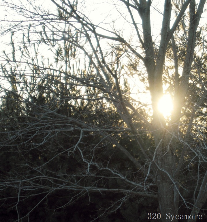[january-2012-046-13.jpg]