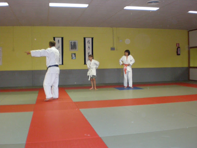 Judo - 3 juli 2009: Foto