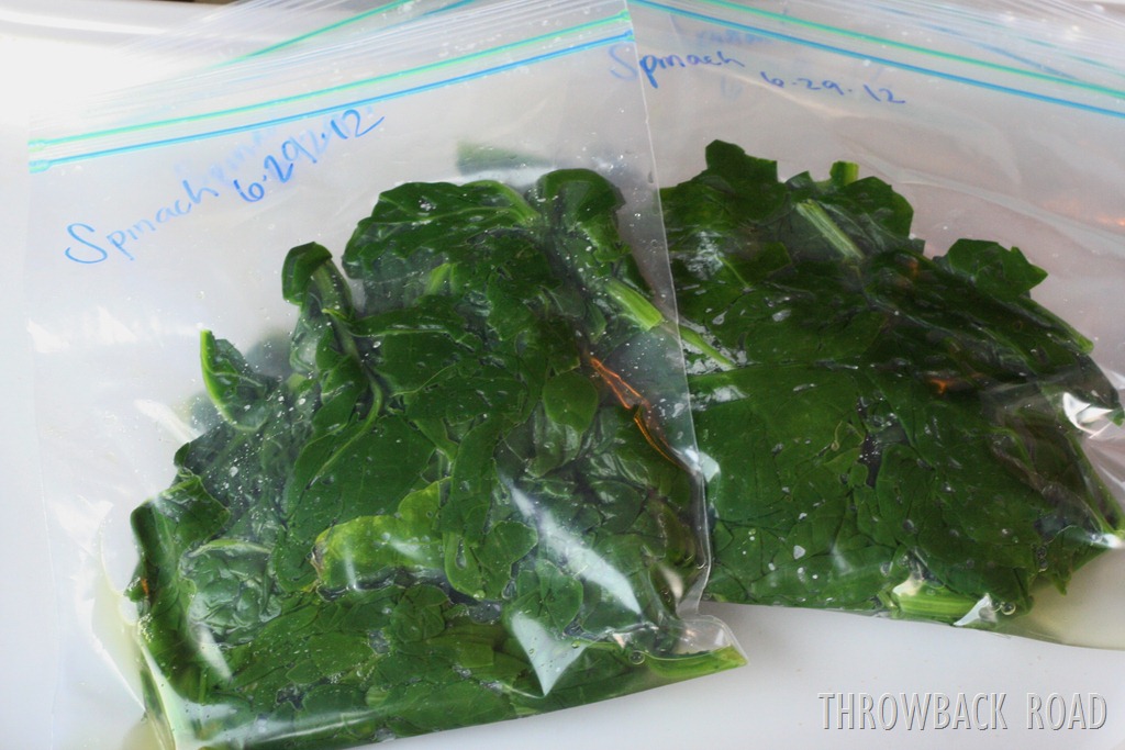 [spinach%2520045%255B3%255D.jpg]