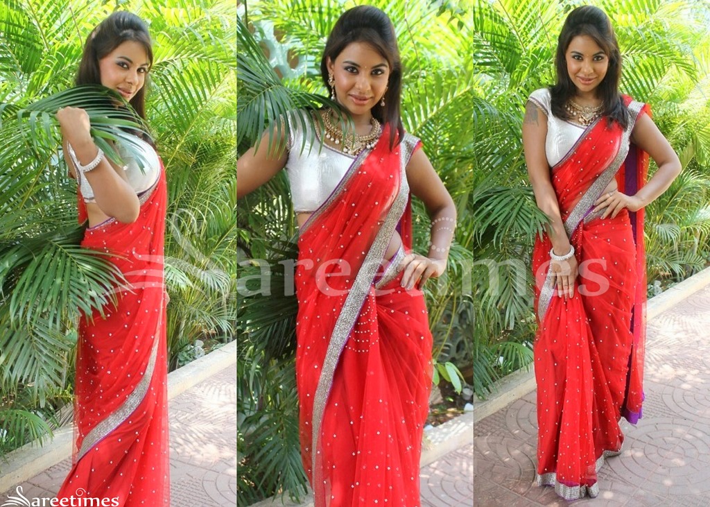 [Sri_Red_Red_Embroidery_Saree%255B4%255D.jpg]