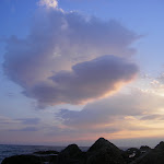 МЕГАНОМ 2007 054.jpg