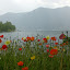 Switzerland 2010-06-04 Switzerland 2010-06-04