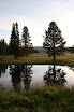 Pelican Valley Yellowstone