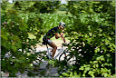 Roth_2010_297.jpg