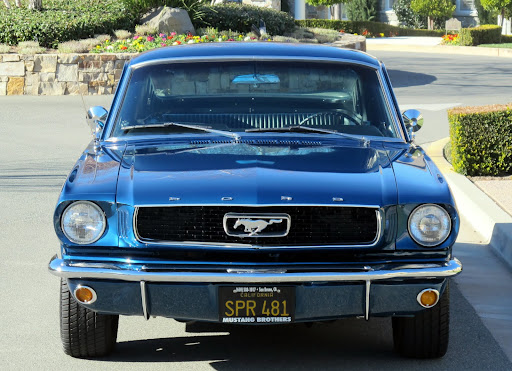 1966 Mustang Fastback Blue