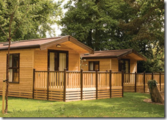 Romantic Breaks in the New Forest
