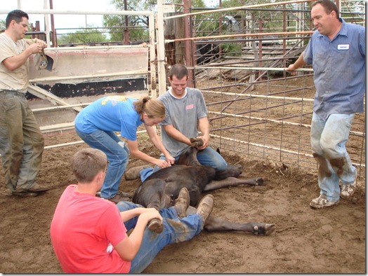 DIG102007 349