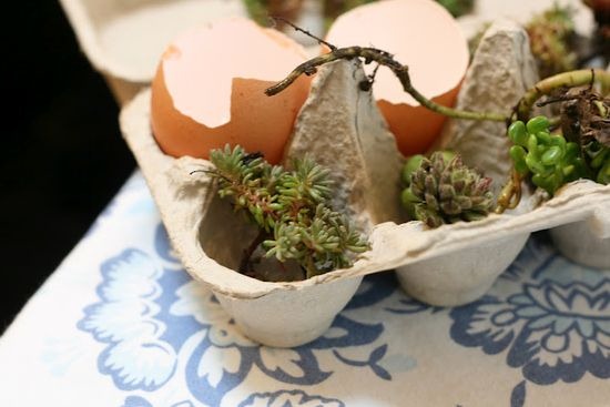 [easter-2-6a0134878f51bf970c01676413c%255B2%255D.jpg]