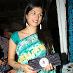 Shraddha Das - New Saree  Photo Stills 2012