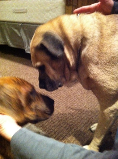 Marty tells Rosie how worried she was when she was missing.