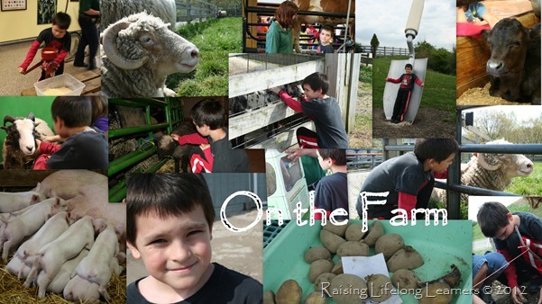 on the farm