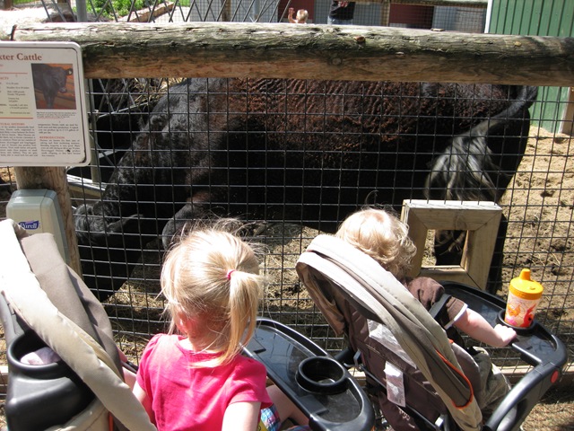 [IMG_66492.jpg]