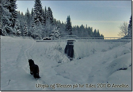 utopia-tur-11des_04