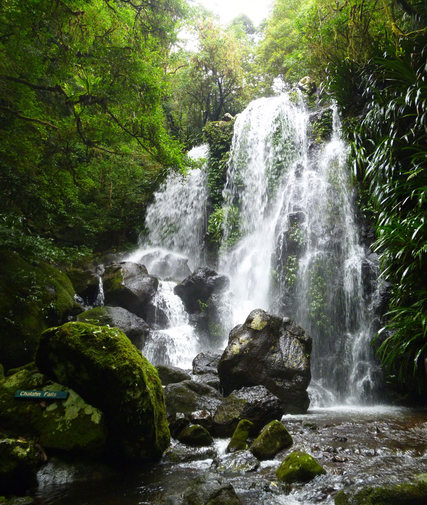 Toolona Creek and Mount Wanungra, O’Reilly’s