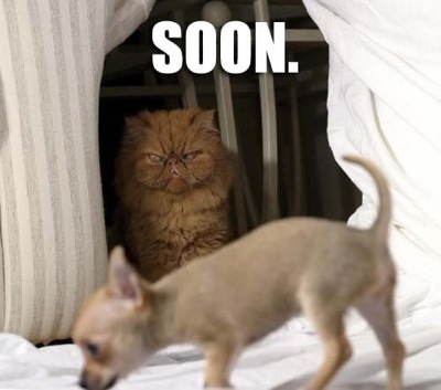 soon2.jpg Soon2